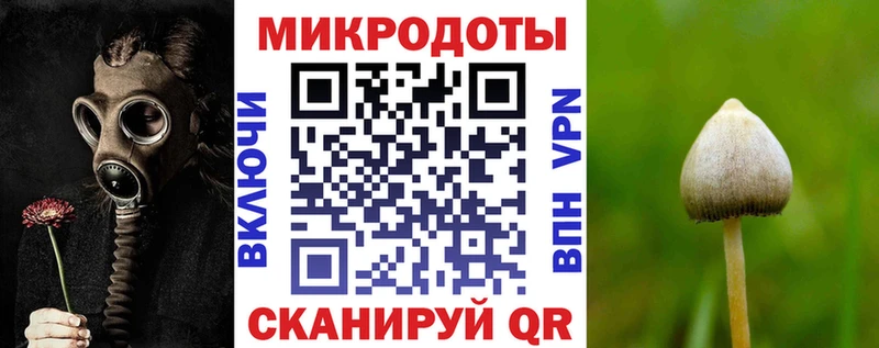 наркота  Кострома  Псилоцибиновые грибы мицелий 